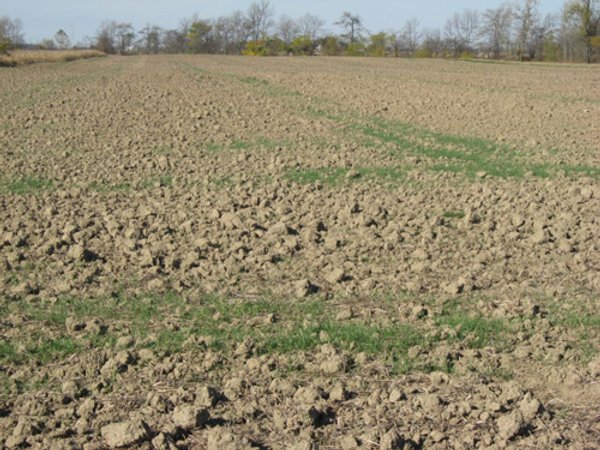 60 Acres Productive Tillable Land